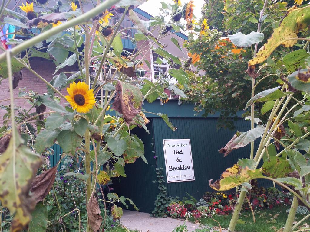 Ann Arbor Bed And Breakfast ภายนอก รูปภาพ