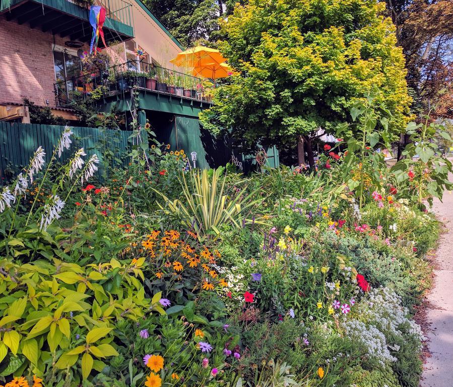 Ann Arbor Bed And Breakfast ภายนอก รูปภาพ