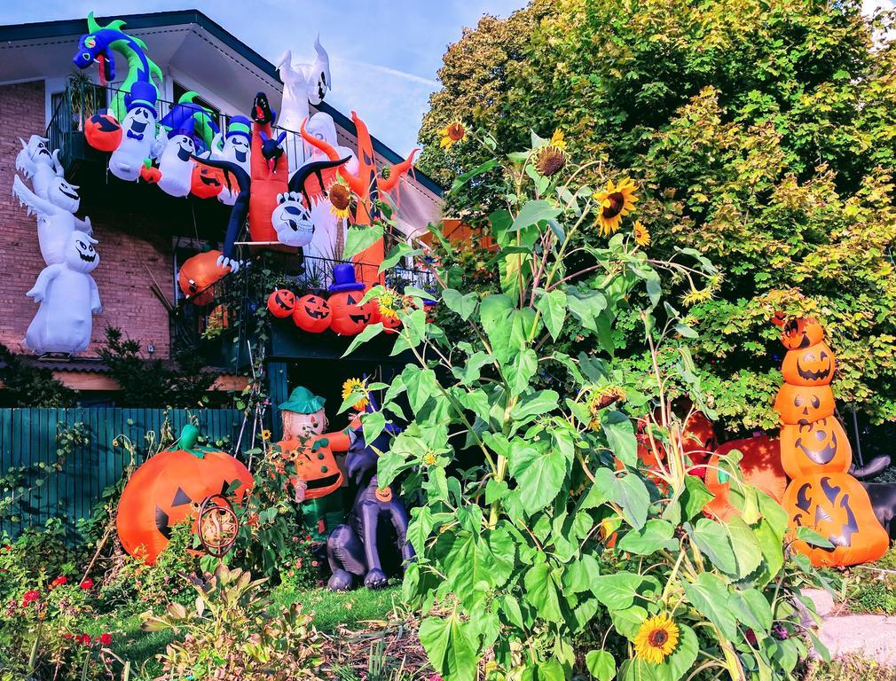 Ann Arbor Bed And Breakfast ภายนอก รูปภาพ
